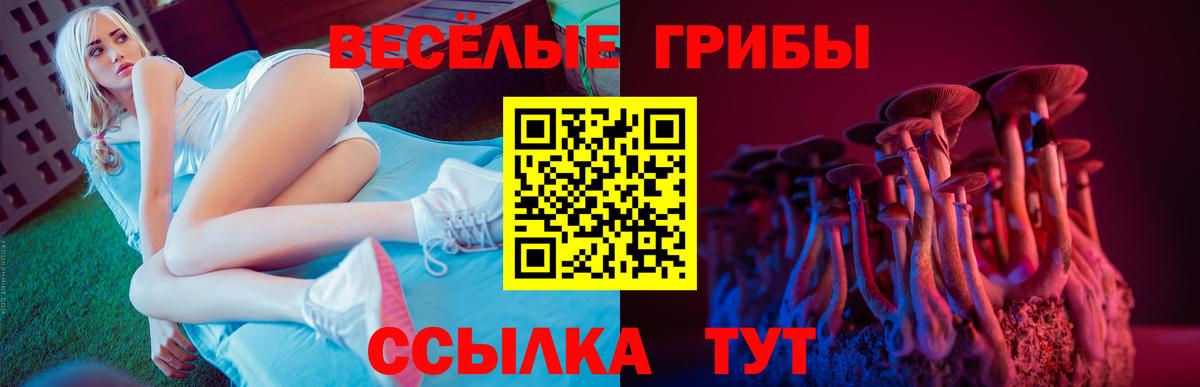 Псилоцибиновые грибы MAGIC MUSHROOMS Бузулук