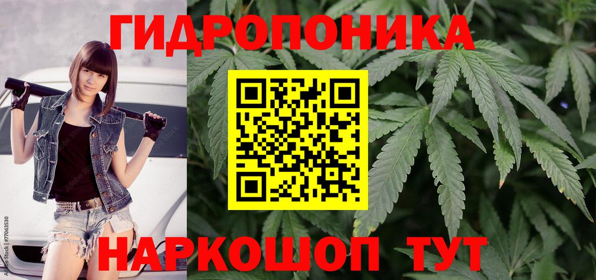 Канабис конопля Бузулук